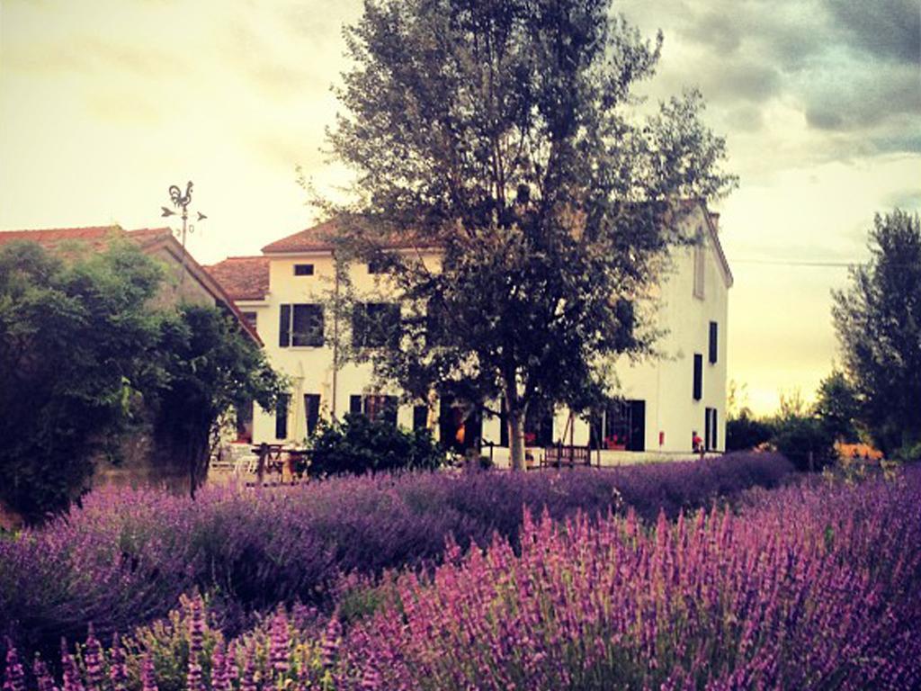 Agriturismo Viridarium Castellucchio Exteriér fotografie